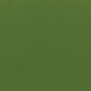 Surround Greenback
